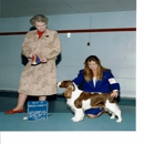 Kalero Dog Obedience School - Pet Training