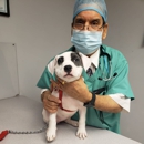 City Animal Hospital - Pet Services