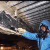 Anthony's Asbestos & Mold Removal gallery