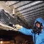 Anthony's Asbestos & Mold Removal