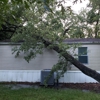 Oliphant's Tree Service gallery