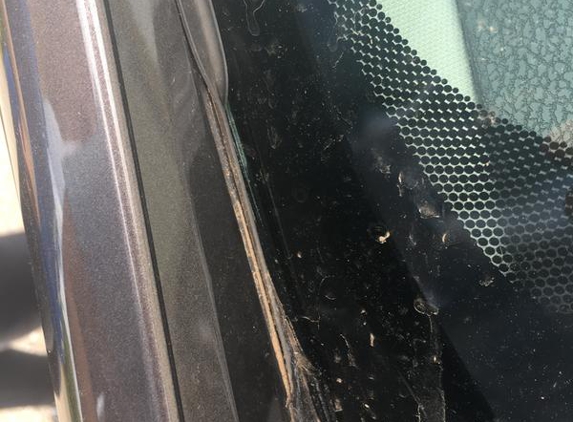 Complete Windscreens - Prospect, SA