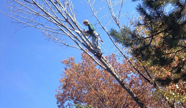 Brother's Tree Service, L.L.C. - Wheatfield, IN