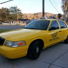 Bumble bee taxi