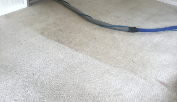 Fenton Carpet Cleaning - Fenton, MI