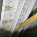 O2 Mold Testing of Fort Lauderdale - Mold Remediation