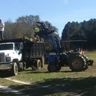 Affordable Carolina Tree Service