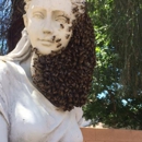 ASAP Bee Removal - Bee Control & Removal Service