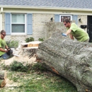 CHAD'S TREE EXPERTS - Tree Service