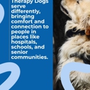 Boston to Dog Training Elite Bristol - Plymouth - Pet Training