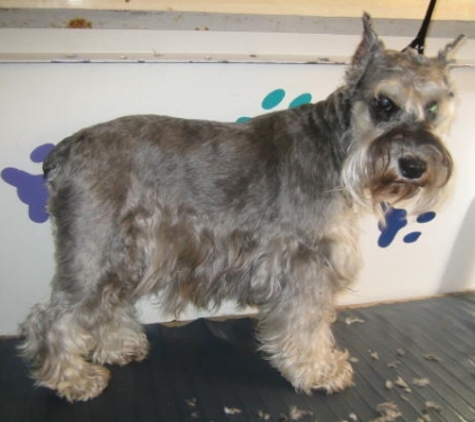 Miami Beach Mobile Pet Grooming - Miami Beach, FL