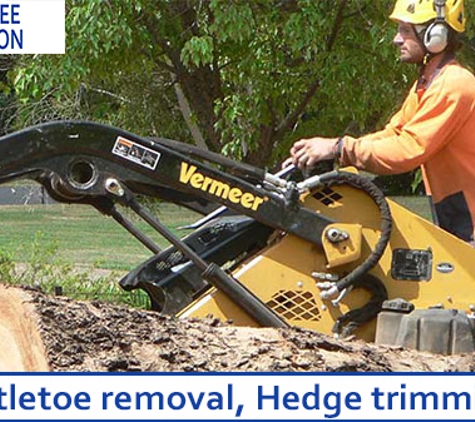 The Tree Surgeon - Spring Creek, NSW