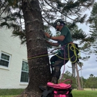 O'Neil's Tree Service