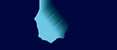 Beri Distributors Pty Ltd Logo