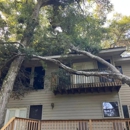 Arbor Tech 904 - Tree Service