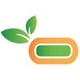 Organic Juice Bar & Gyros