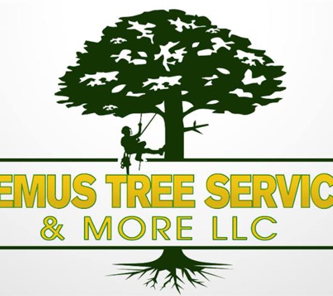 Lemus Tree Service & More LLC - Wappinger Falls, NY