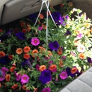 Country Greenhouse - Greenhouse Builders & Equipment