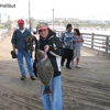Oceanside Pier Bait Store gallery