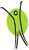 Psychology Options Logo