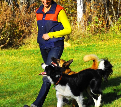 You and Your Dog Training & Services - New Boston, NH