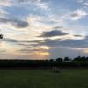 Farm House Vineyards gallery