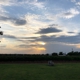 Farm House Vineyards