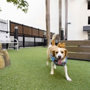 Camden Brickell Apartments - Apartments