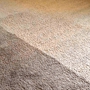 CLEAN+DRI Carpet Cleaning