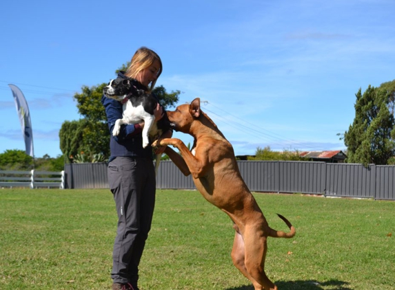 Paradise Pet Parks - Falls Creek, NSW