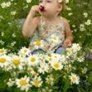 Hutcheon's Flower Co. - Wedding Supplies & Services