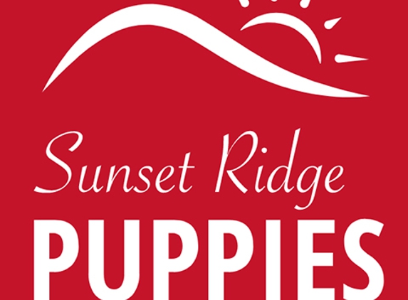 Sunset Ridge Puppies - Boyceville, WI