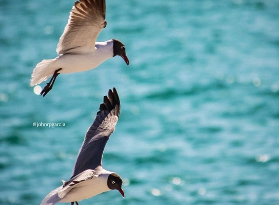 Egmont Key State Park - Saint Petersburg, FL