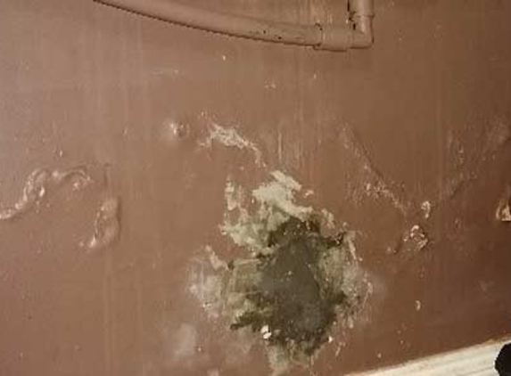 Melbourne Rising Damp - South Yarra, VIC