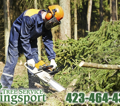 Tree Service Kingsport - Kingsport, TN