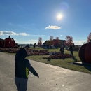 Land of the Giants Pumpkin Farm - Farms