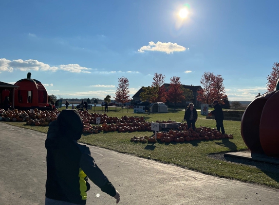 Land of the Giants Pumpkin Farm - Mount Pleasant, WI