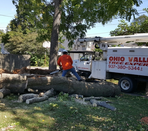 Ohio Valley Tree Experts LLC - Dayton, OH