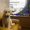 Regina Piunno: Allstate Insurance gallery