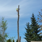 Alex's Quality Tree Service