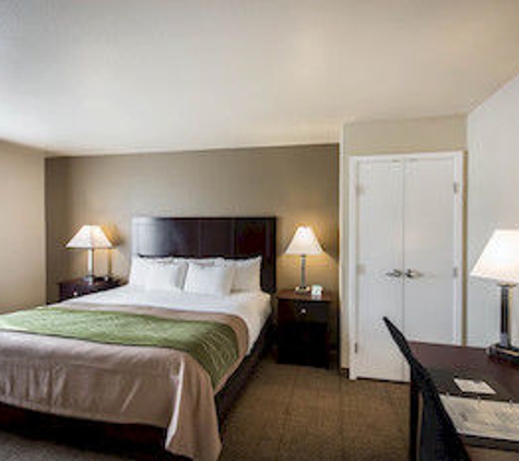 Comfort Inn & Suites Mansfield - Mansfield, TX