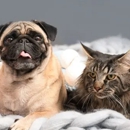 Duncan Veterinary Hospital - Veterinarians