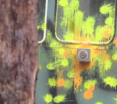Paintball Australia Pty Ltd - Mudgeeraba, QLD
