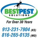 Best Pest Solution - Termite Control