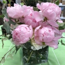 Florist Murfreesboro - Florists