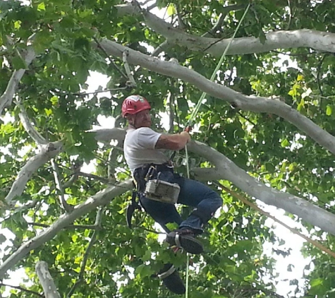 4-State Tree Pros LLC - Miami, OK