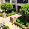 Walton Village & The Legacy at Walton Village (55+) gallery