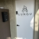 Lungu Construction Group