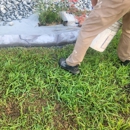 Blue Fox Curb Appeal - Landscape Designers & Consultants