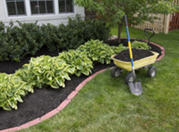 Tomas Vazquez-Vazquez Landscaping - Reading, PA